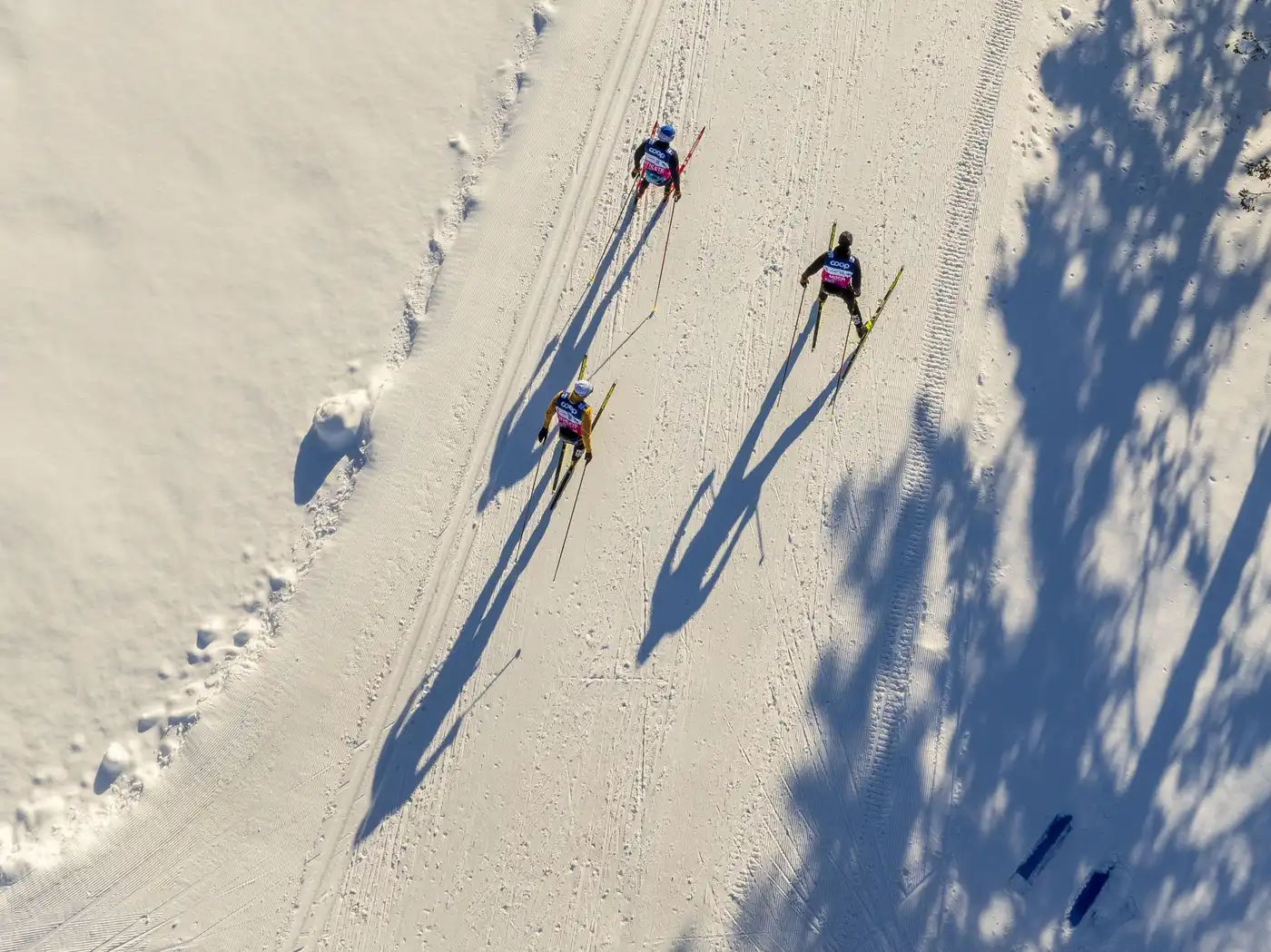 Snow comes just in time as Minnesota prepares to welcome top athletes for World Cup ski race | Image Credit: mprnews.org