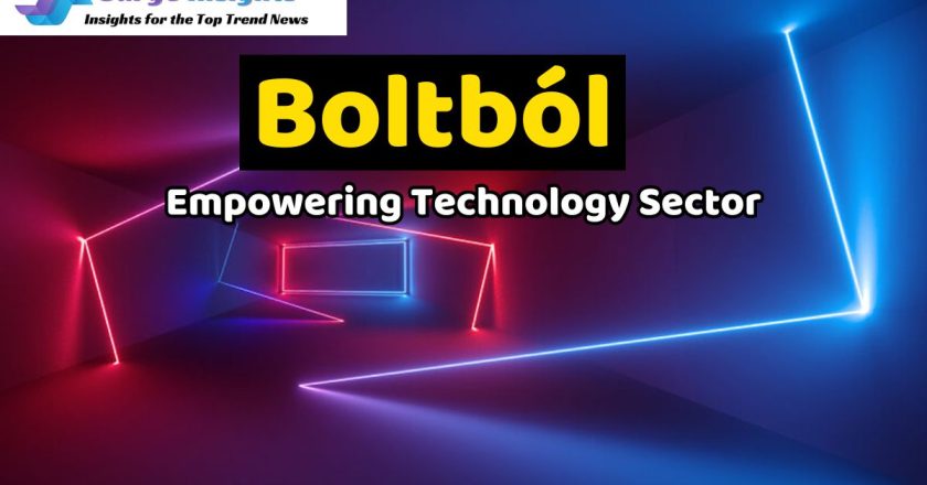 How Boltból Empowering Technology Sector? Types of Online Businesses with Boltból