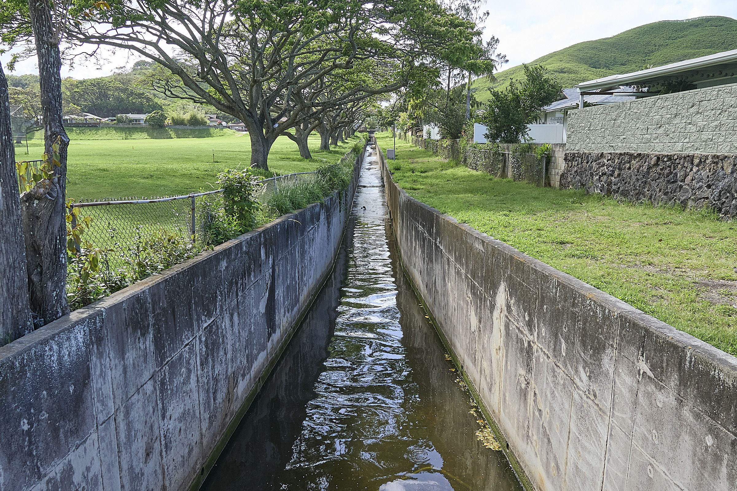 Kailua Residents Say The City Is Focusing On The Wrong Location | Image Credit: civilbeat.org