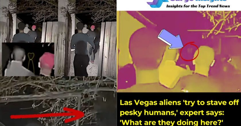 Expert Claims Aliens in Las Vegas “Attempt To Stave Off Pesky Humans,” Why They Are Here