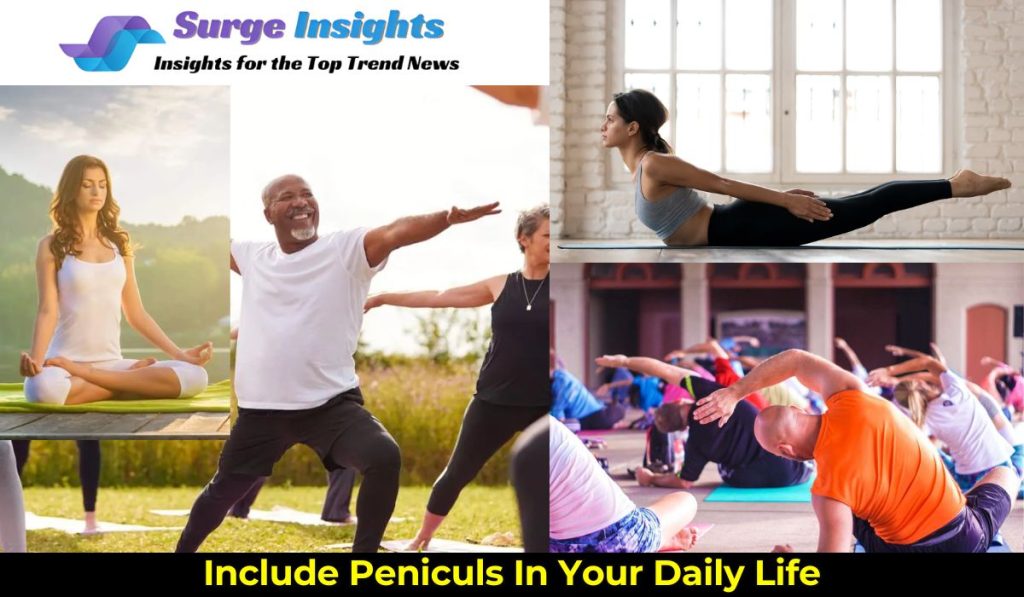 Include Peniculs In Your Daily Life