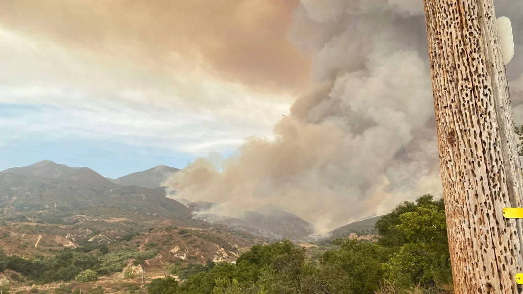 Airport Fire: Fast-Moving Brush | Image Credit: desertsun.com